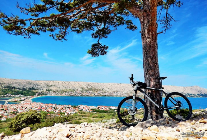 Apartment Festini Pag, Croatia Pag